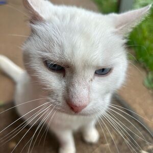 Lululemon bundle of 2 pcs